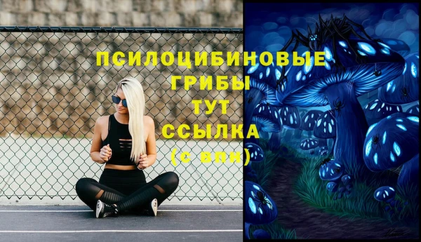 ешки Алексеевка