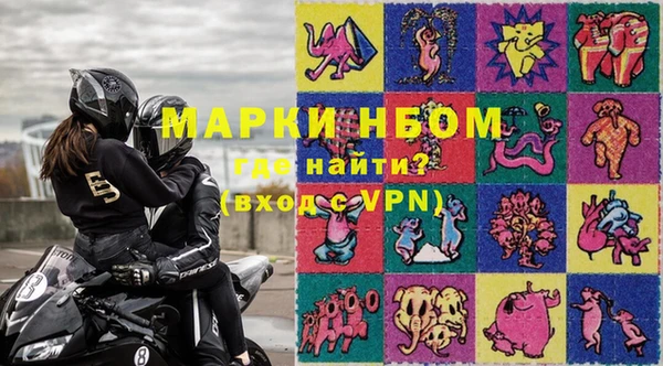 стафф Алзамай